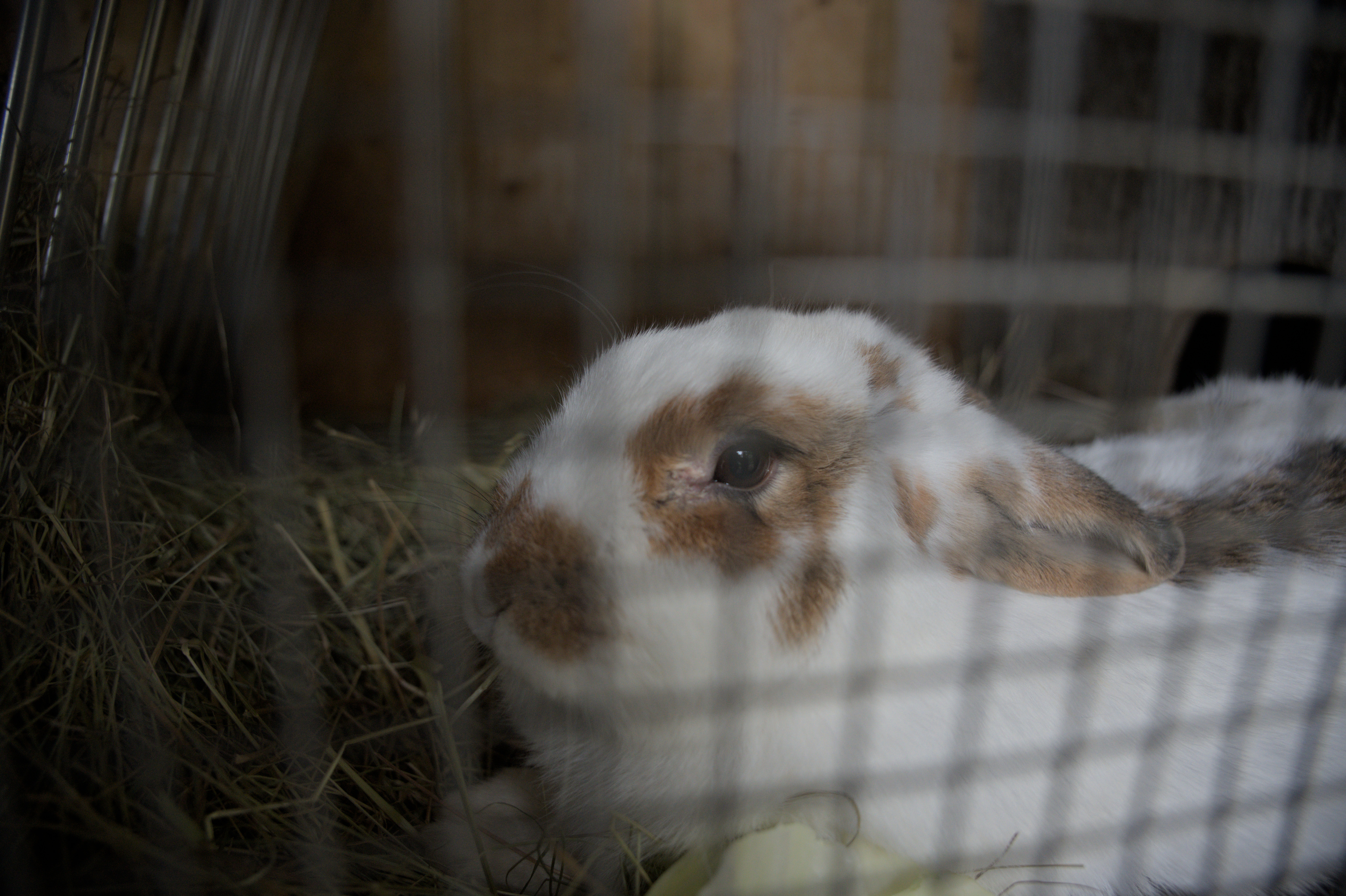 2025/10/12 - zoo/DSC_0362.jpg